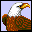 icon:eagle